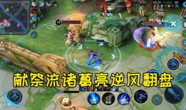 峡谷爆料诸葛亮视频大全,诸葛亮视频大全深度解析